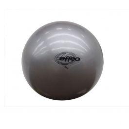 PALLA GYM BALL FITNESS 2KG TONING BALL