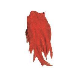 PIUME LINEAEFFE ROSSA