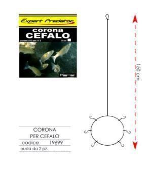 CORONE PER CEFALI 2 PEZZI PER CONFEZIONE