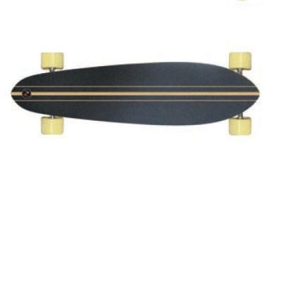 LONGBOARD CRUSER LAND - gallery 2